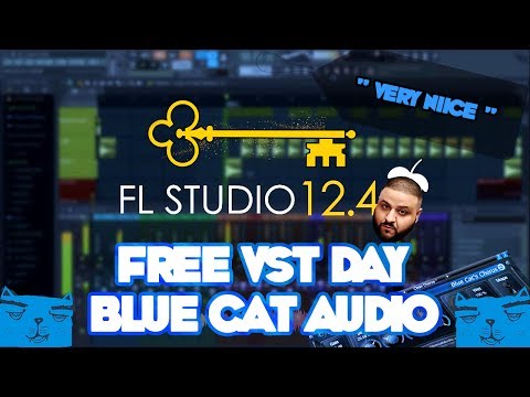 FREE VST DAY 4 - BLUE CAT AUDIO?