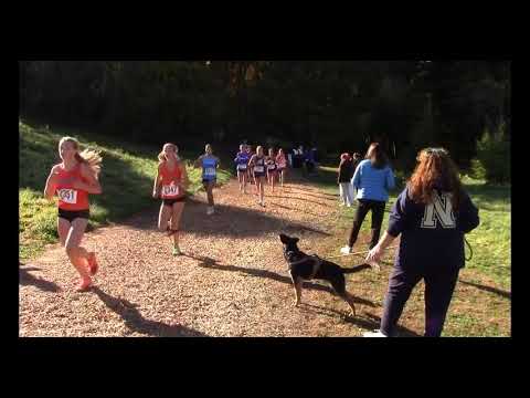 CIAC 2025 Class XC Championships - Girls LL