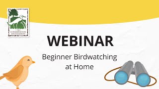 Beginning Birdwatching at Home | Webinar