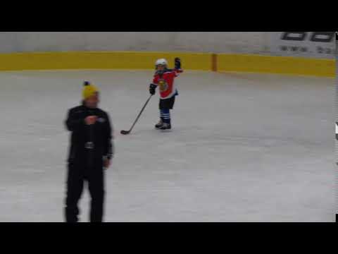 Dárius Krejčí - gól z nájezdu (Motor ČB - HC Lvi 2009, ročník 2011), 2017