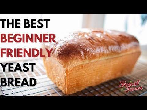 How to make a loaf of bread from scratch (Beginner friendly!)