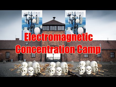 Welcome to Your Electromagnetic Concentration Camp