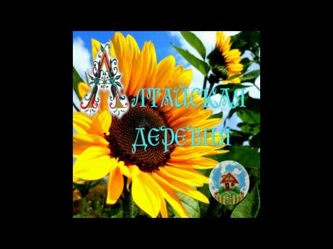 Снова засыпало снегом//Жизнь в деревне