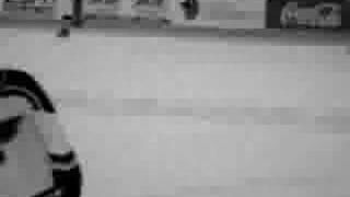 Oslo in the Summertime