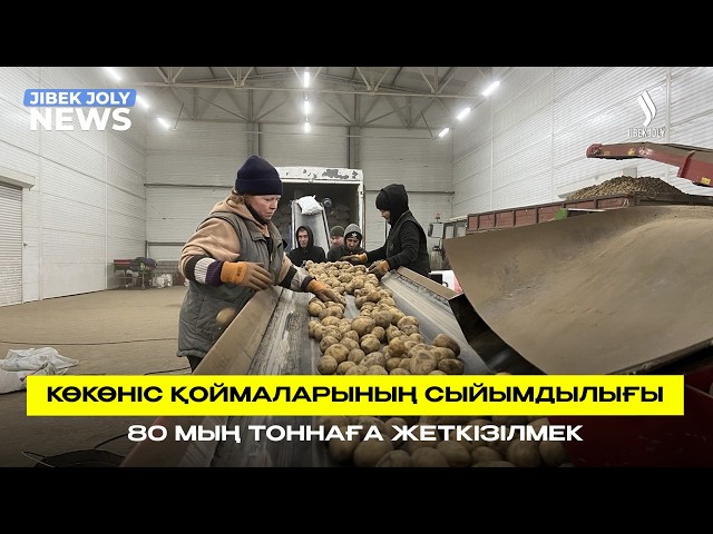 Көкөніс қоймаларының сыйымдылығы 80 мың тоннаға жеткізілмек