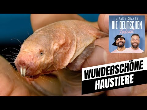 Suspekte Haustiere | #472 Nizar & Shayan Podcast