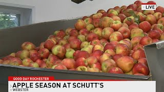Schutt&#39;s Apple Mill, Moving Day Rochester