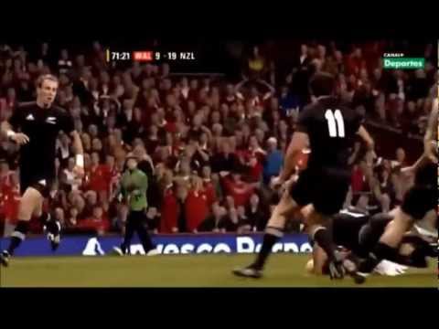 Shane Williams Tribute - The River™, What I've done™ | An Unforgettable Star | HD