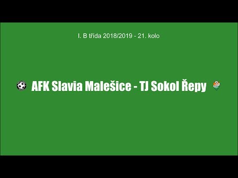 AFK Slavia Malešice - TJ Sokol Řepy 0:1