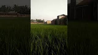 Download lagu Selamat pagi rancaekek Jelegong mp3