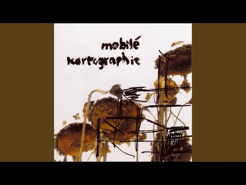 Prinzipiell Habe Ich Nichts Gegen Renovierte Häuser