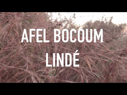 Afel Bocoum - The Story of 'Lindé'