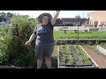 Plants Can Grow High OK Farm Remix