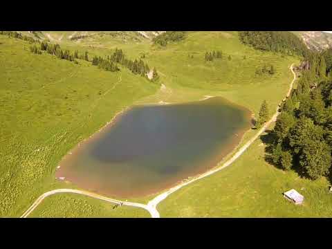 Novak Laketić-Oj đevojko milijana