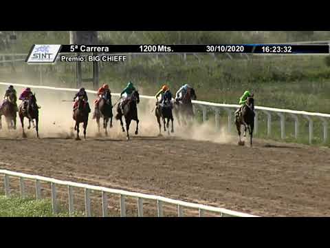 201030 c05 - 1° YABURU  - SINT-COLONIA