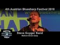 Steve Guyger Band - Mellow Down Easy