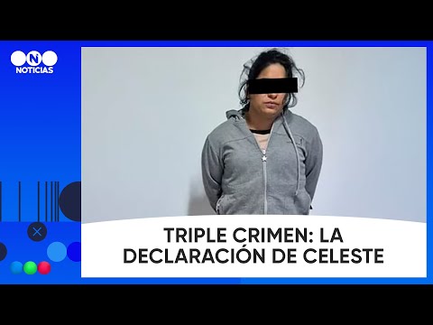 "ALGUIEN LES PAGÓ UN MILLÓN DE DÓLARES": la declaración de una de las detenidas por el triple crimen