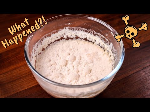 How Much Neglect Can a Sourdough Starter Take? Is My Starter Dead?