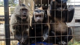 recap time ...... why do I do it ????