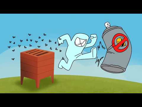 Level Clear - Tom Cardy (Animation)