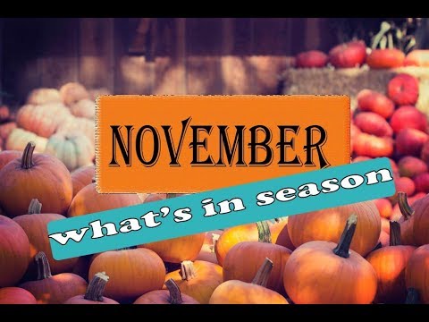 download lagu mp3 mp4 What Is In Season In November, download lagu What Is In Season In November gratis, unduh video klip What Is In Season In November