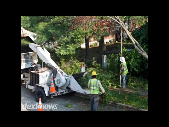 A-1 Ron's Stump & Tree Removal - Springfield, OR