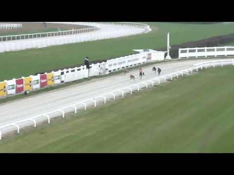 2022.11.26. 12. futam - WGO Nagydíj