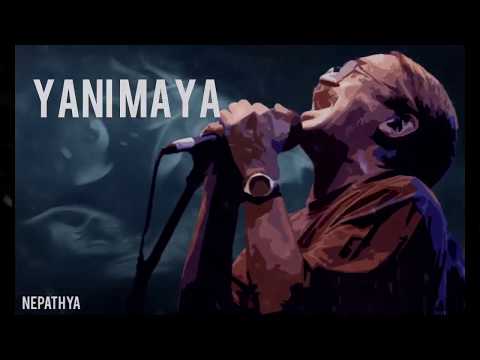 download lagu mp3 mp4 Yani Maya Lyrics, download lagu Yani Maya Lyrics gratis, unduh video klip Yani Maya Lyrics