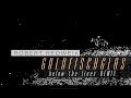 Robert Redweik - GOLDFISCHGLAS below the lines REMIX (Lyric Video)