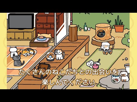 Cat Game - The Cats Collector! for Android - Free App Download