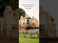 Top 5 Luxury Safari Lodges