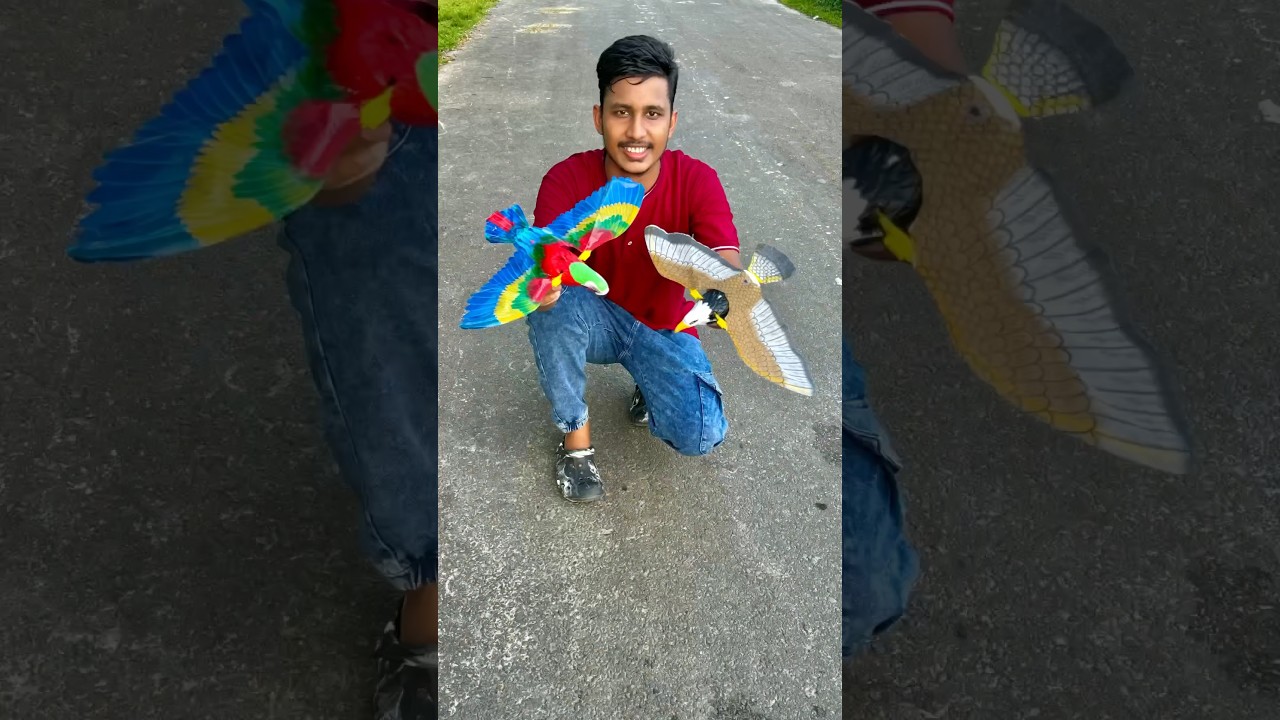 Electric Flying Bird with Hanging Wire Automatic for Ceiling Parrot