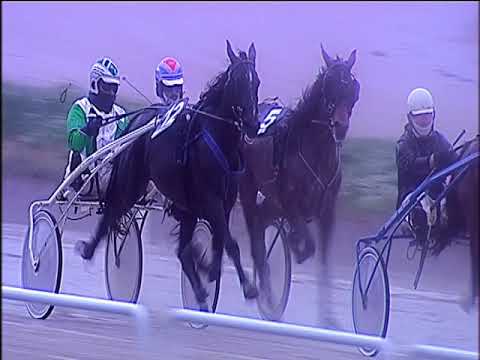 Trotto 13/12/2019 - 1ª corsa