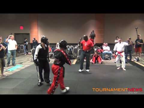Quinn Purdy vs Unknown at North American International Karate Championship 2013