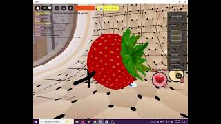 Strawberry Without Second Zone And Red Zone By @LLASYPAPN