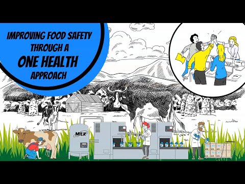 Improving Food Safety through a One Health Approach