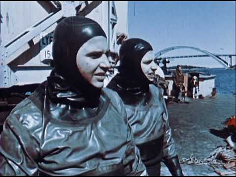 Bärgningen av Rikswasa – ett dykaräventyr(1969)