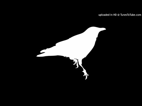 SKUTA x Magiczny - Biała Wrona (prod. Trunxks Beatz)