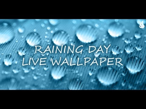 Raining Day Live Wallpaper Video