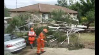 preview picture of video 'Storm Damage Responce to a Tree on Car with SES SHR  05-Febuary-2010'