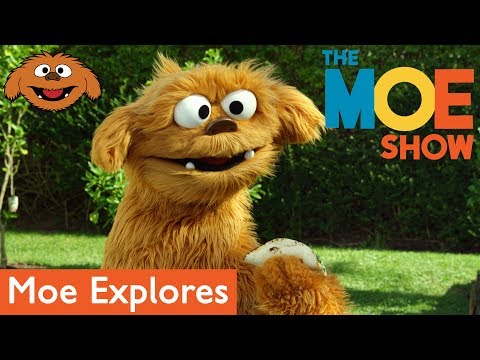 The Moe Show: Moe Explores — Cooking