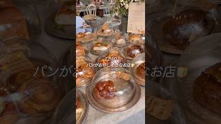 【Vlog】中国駐在妻の春節明けの日常🍞🌿 #vlog #中国 #駐在妻 #駐妻 #海外生活 #海外在住 #深圳 #日常 #ねこ #china #shenzhen #cat #グルメ #主婦