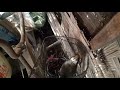 Burung Ruak Ruak Membuat Sarang PART 1