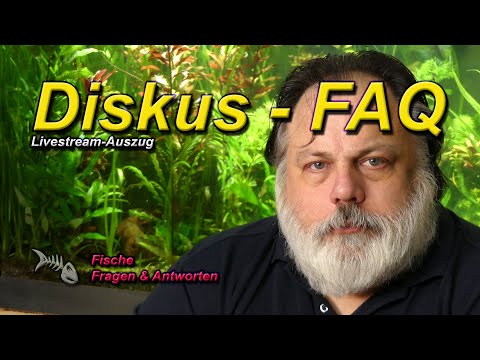 DISKUS-FAQ #1 - FILTERUNG, STRÖMUNG, STERILZUCHT und mehr rund um den Diskus im Aquarium