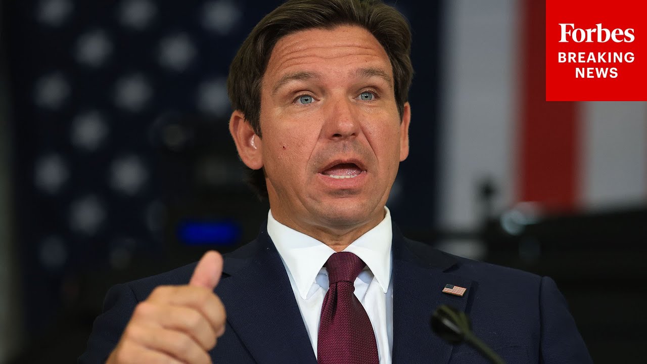 DeSantis: This Is Why Deporting Illegal Immigrants Is Not 'Punishment'