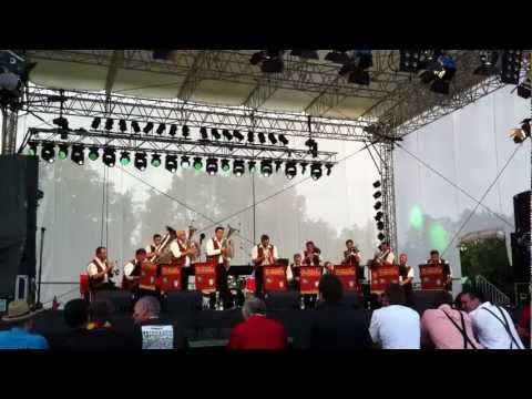 Triwanka Harmoniestörungen