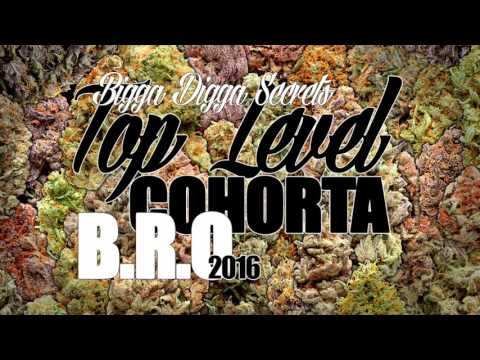 Cohorta & B.R.O. - TOP LEVEL (Bigga Digga Secrets)