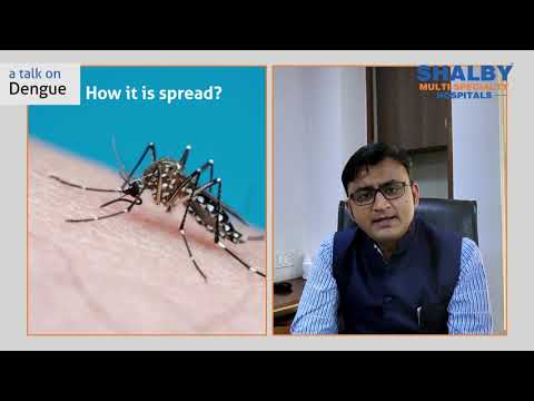 Dengue – Everything You Should Know 
