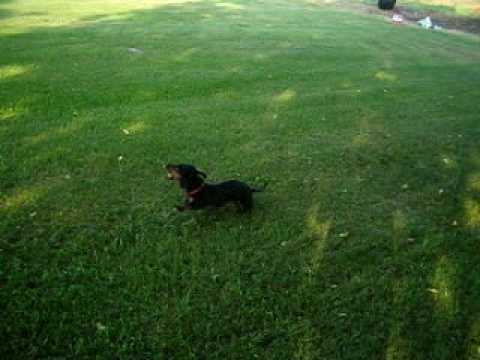 yannick  marilyn  olie a st cleophas