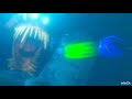 Finding Nemo Anglerfish Screeching And Swimming After Marlin And Dory